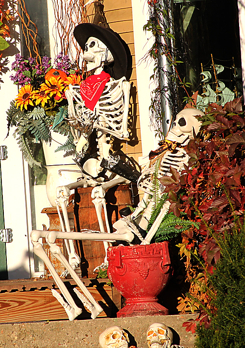 skeleton